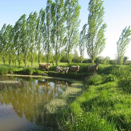 La Ferme De Magnantru Bed & Breakfast Perigne Eksteriør bilde